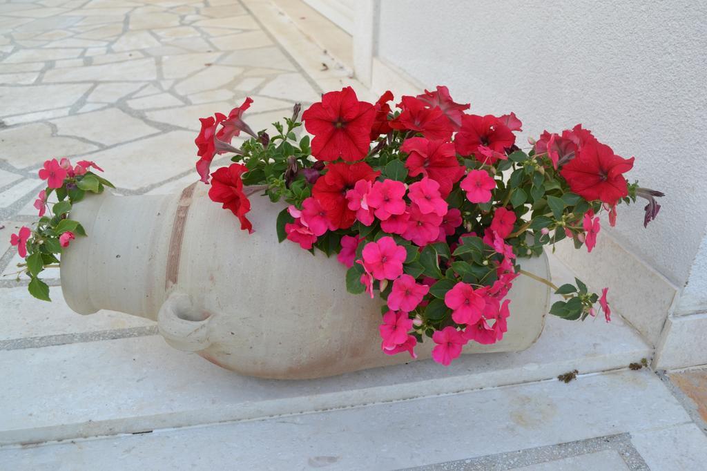 Apartments Oklopcic Trogir Bagian luar foto